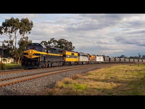 Southern Shorthaul Railroad Grain Trains | Featuring Heritage SRHC Locomotives!