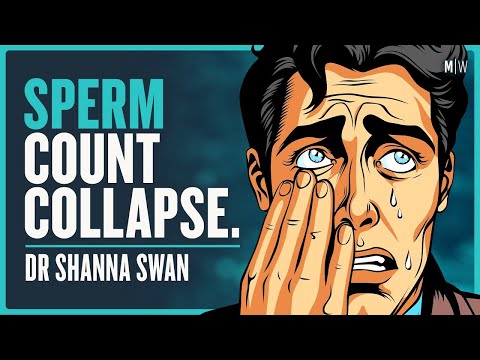 Why Men’s Testosterone Levels Are Plummeting - Dr Shanna Swan