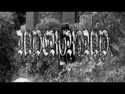 NEW SONG - Lolita KompleX - Tanz! Schweinchen, tanz! [official lyrics video]