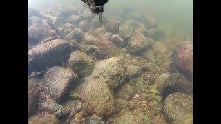 Рыбалка гродненский форум
