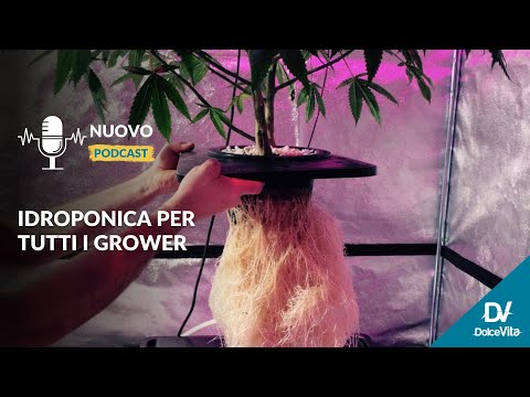 , title : 'Idroponica per tutti i grower'