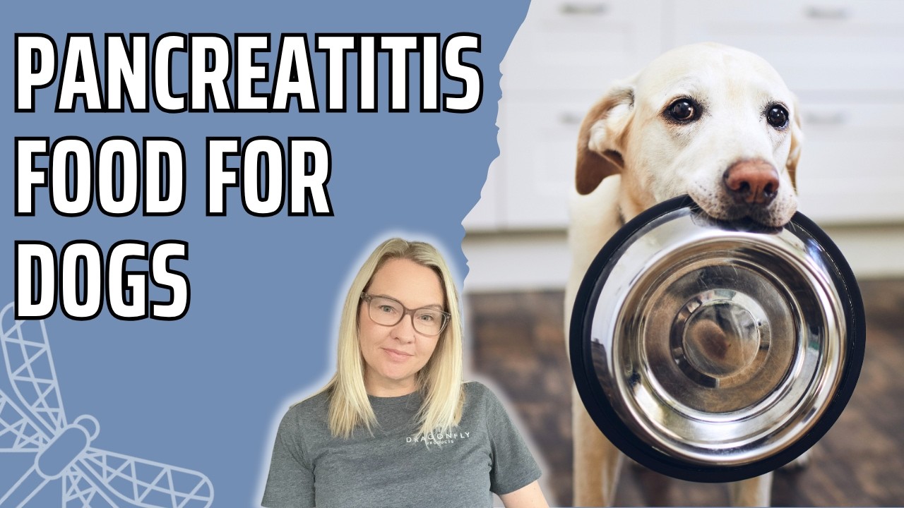 What to Feed a Dog With Pancreatitis? | Video