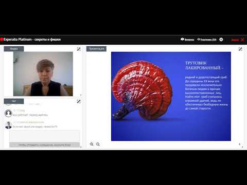 Experalta Platinum секреты и фишки