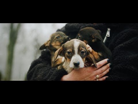 Jovani x Embody x LAZAR - Another Love (Official Video)