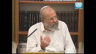 "וקווי ה’ יחליפו כח" | פרשת לך לך - הרב אלישע וישליצקי זצ”ל | ו׳ בחשוון תשע״ב (3 בנובמבר 2011)   (ישיבת מכון מאיר) - התמונה מוצגת ישירות מתוך אתר האינטרנט יוטיוב. זכויות היוצרים בתמונה שייכות ליוצרה. קישור קרדיט למקור התוכן נמצא בתוך דף הסרטון