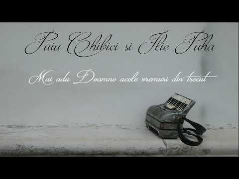 Album (11) Ilie Puha și Puiu Chibici - Mai adu Doamne acele vremuri (Acordeon)