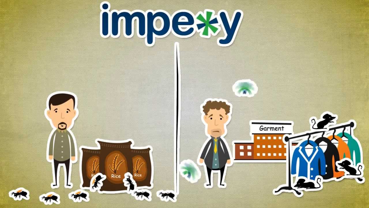 Impexy - Hand Crafted Explainer Video done by Bode Animation