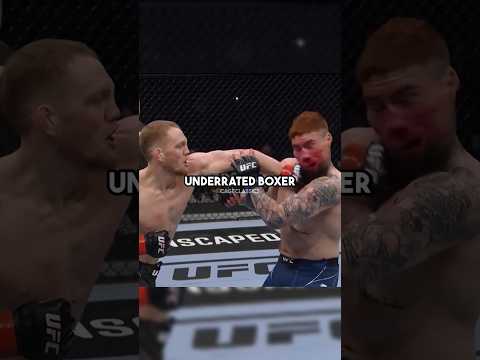 The Most Underrated Boxer in MMA