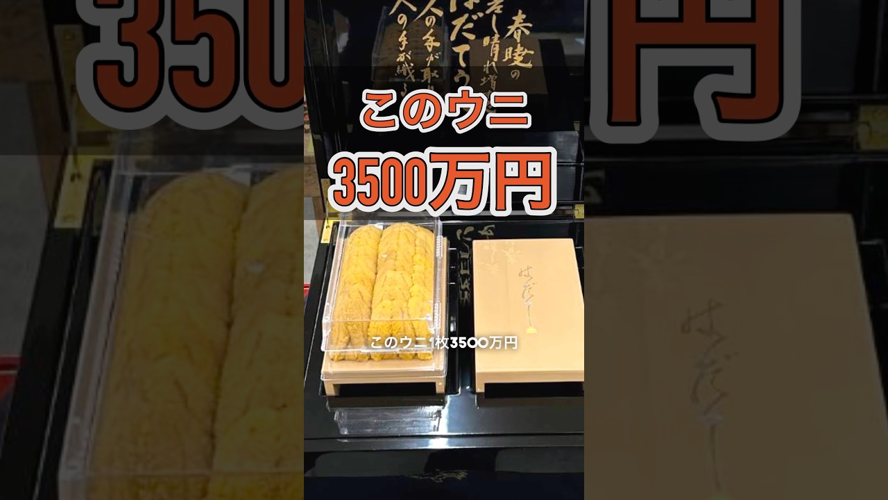 2026年1【2026年初競り】豊洲市場で一番ウニが3500万円！一番マグロは驚愕の5億円！月5日