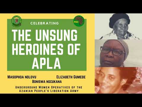 What of democracy? Is PAC irrelevant in electoral democracy?