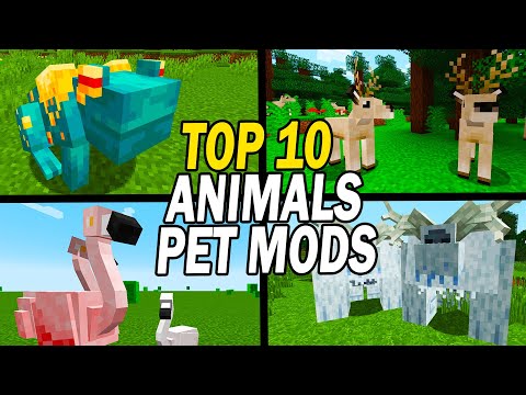 Insane Minecraft Mods! Unleash Epic Animal-Pet Combos!