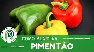 Miniatura do vídeo