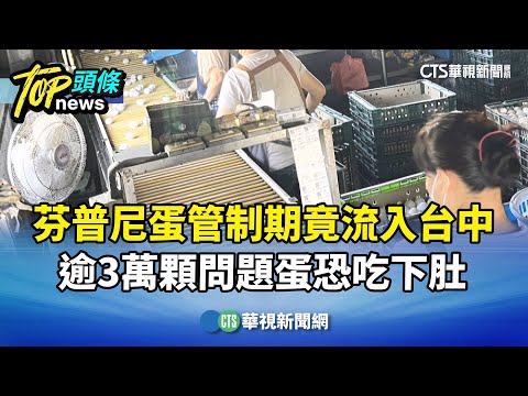 芬普尼蛋管制期竟流入台中　逾3萬顆問題蛋恐吃下肚