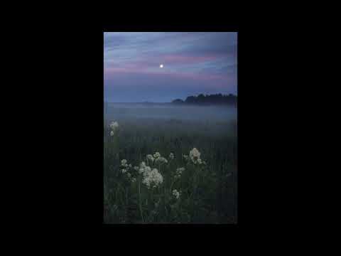 [FREE] midwest emo DnB, hyperpop type beat | "meadows"