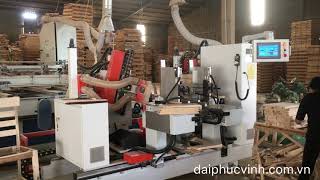 Máy đánh mộng dương 2 đầu cnc Woodmaster