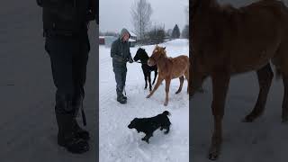 Счастье приехало))) Ли-Лу,худшее позади.