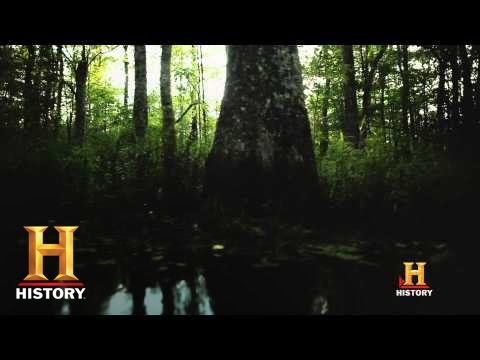 Cryptid: The Swamp Beast -- Comes to Life | History