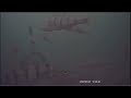 Video Thumbnail for Big school  of perch #shorts #catchandrelease #fishing