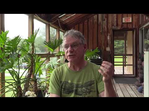 The state of flow vs. getting lost in thoughts