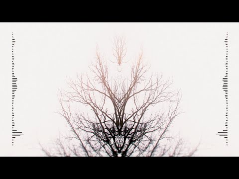 Dark Signal | Gravity