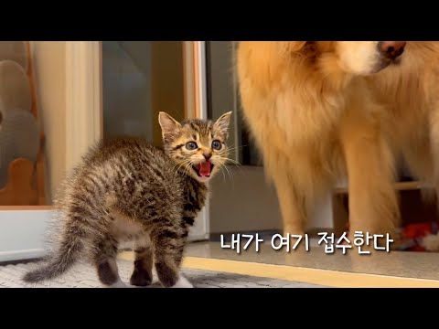 여기는 내가 접수한다.