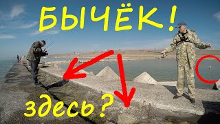 Все про рыбалку на бычками