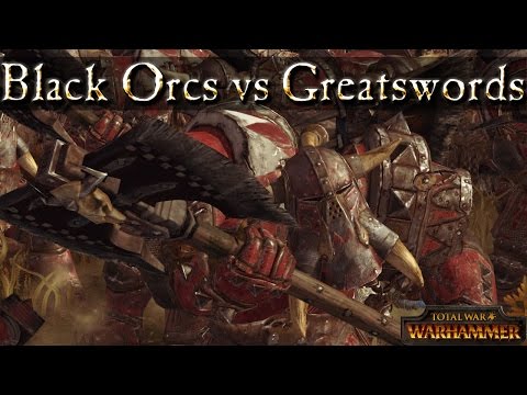 Black Orcs vs Greatswords - Total War Warhammer