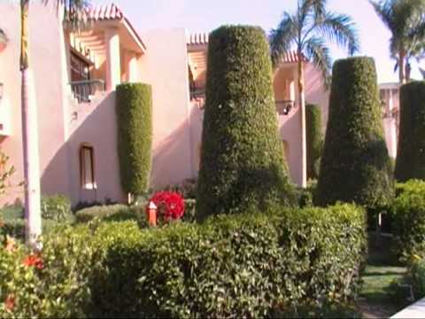 Отель Ali Baba Palace 4*.Территория.