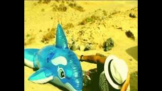 Cali &amp; El Dandee - La Playa  (Official Video) Parodia