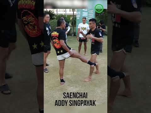 Saenchai Muay Thai - Setting up BIG Low Kicks