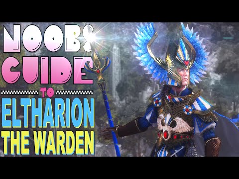 NOOB'S GUIDE to ELTHARION THE WARDEN