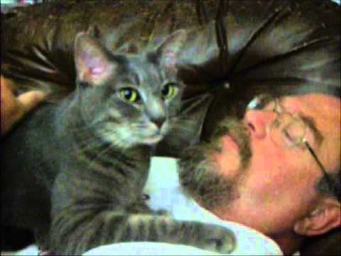 A Kitty Love Story:  Tazzy Love, Love, Loves Robert