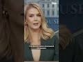 Karoline Leavitt refuses to take CNN's Kaitlan Collin's follow up question during tense briefing