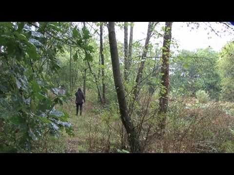 Nature en ville : la trame verte & bleue de Nantes Métropole