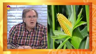 Lüpus Hastalığına Karşı Kür - TRT DİYANET