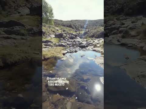 Tanti: Caminar y disfrutar el arroyo y sus lugares más escondidos.