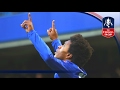 Willian, Gray, Defour — Best Goals - 4th Round Emirates FA Cup 2016/17 | Top Five