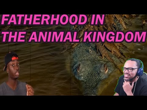 REACTION: When You ARE the Child Support @mndiaye_97 CASUAL GEOGRAPHICS