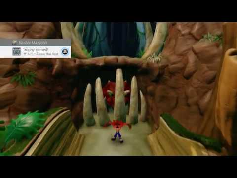 Crash Bandicoot Warped: A Cut Above the Rest Trophy Guide