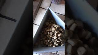 Royal Canin Veterinary Diet Hypoallergenic Moderate Calorie HME23 pour chien zoomalia