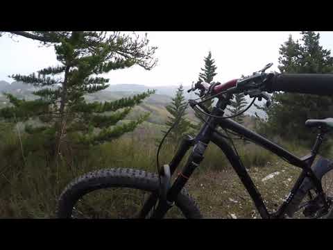 Ns bikes Eccentric Cromo 29