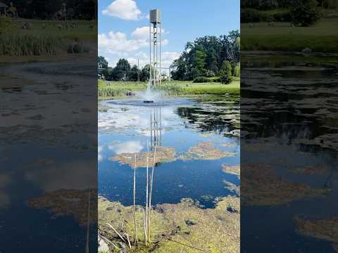 Patsy Cline Bell Tower Winchester Virginia