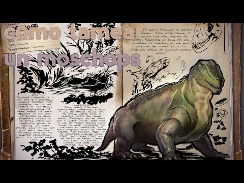 CÓMO DOMÉSTICAR (TAMEAR) UN MOSCHOPS #2(guía para principiantes)ARK