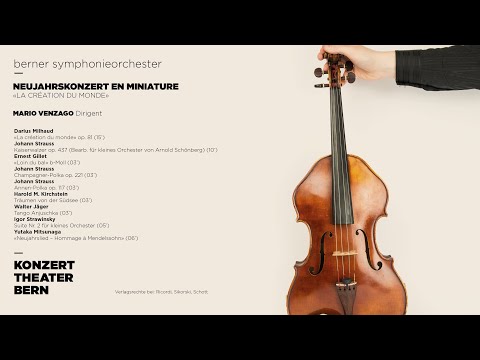 Neujahrskonzert en miniature