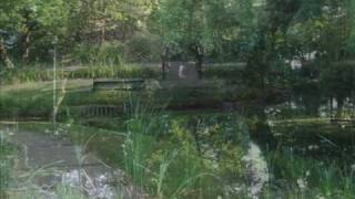 Váczi Eszter - Voltak órák