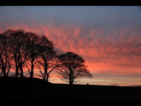 Ya Rabbi Yasou - My Lord Jesus