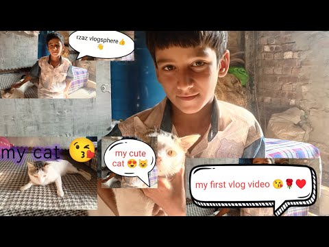 Sunil Ka Pehla Vlog 😺🔥 | Cat Ke Sath Block Game Challenge | First Vlog Video 2025