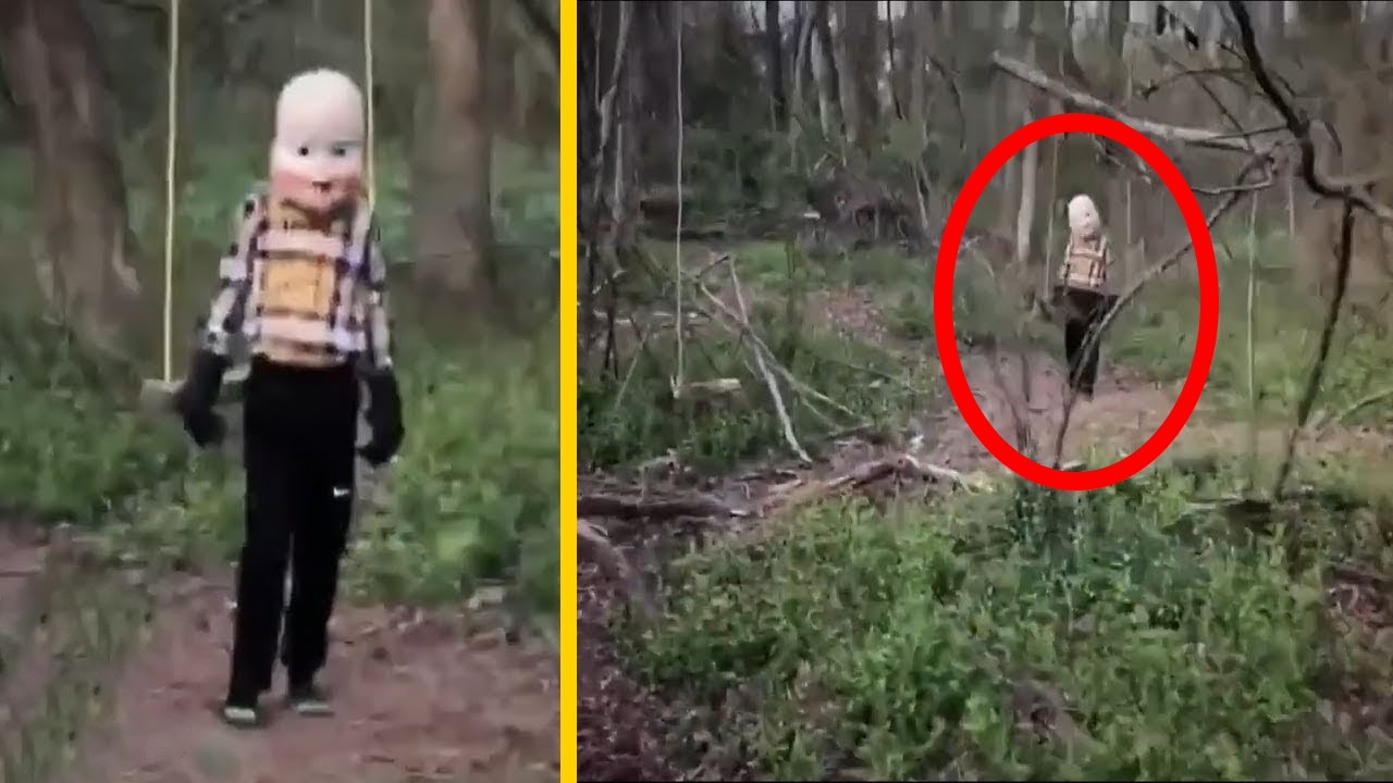 20 Coisas Mais Assustadoras Encontradas Nas Florestas