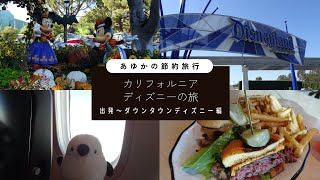 カリフォルニアディズニー節約旅行！①　出発～ダウンタウンディズニー編　少しだけクリスマスグッズも紹介