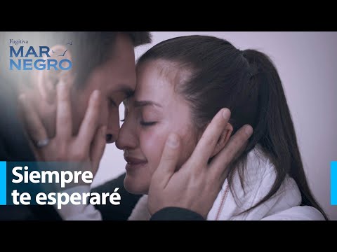 Tahir Escaped Again - Black Sea Chapter 135 | Fugitive